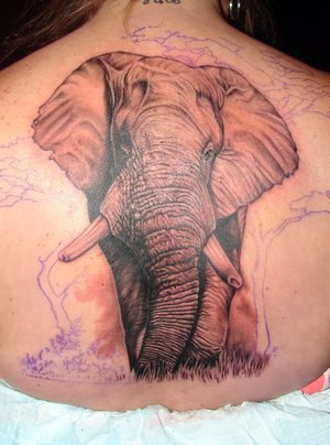 Фото и значение татуировки " Слон ". X_3217bd41