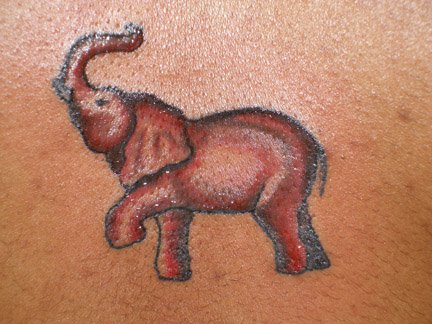 Фото и значение татуировки " Слон ". X_3dbb1438